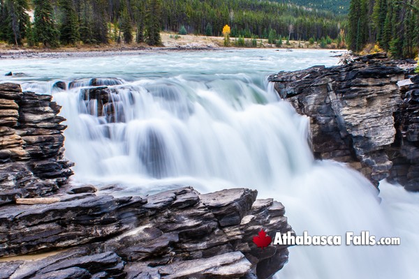 Athabasca Falls in Jasper National Park in September