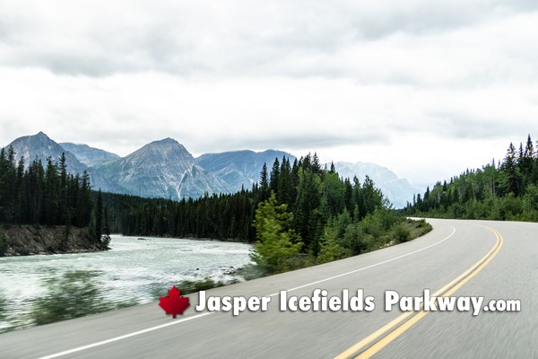 Jasper Icefields Parkway During September