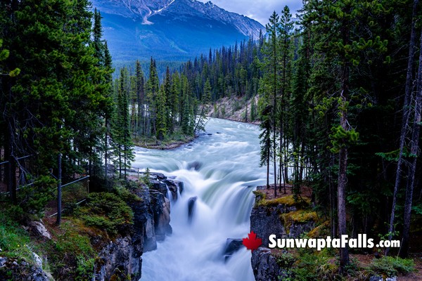 Sunwapta Falls in Jasper National Park in September